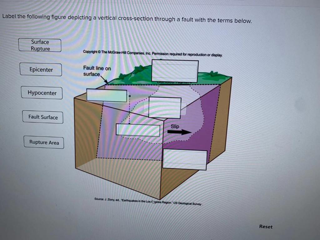 Solved Label the following figure depicting a vertical | Chegg.com