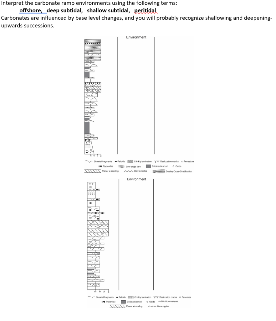 Solved Interpret the carbonate ramp environments using the | Chegg.com