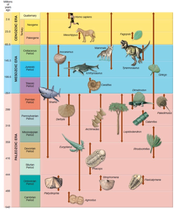 Solved Please help with the following questions 1. On the
