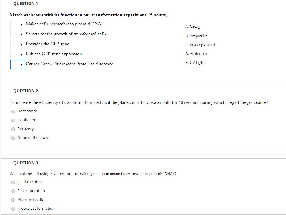 Solved QUESTION 1 Match each item with its function in our | Chegg.com