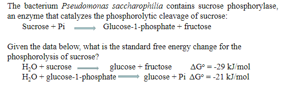 Solved The bacterium Pseudomonas saccharophilia contains | Chegg.com