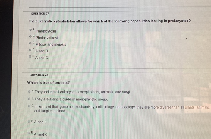 Solved QUESTION 27 The eukaryotic cytoskeleton allows for | Chegg.com