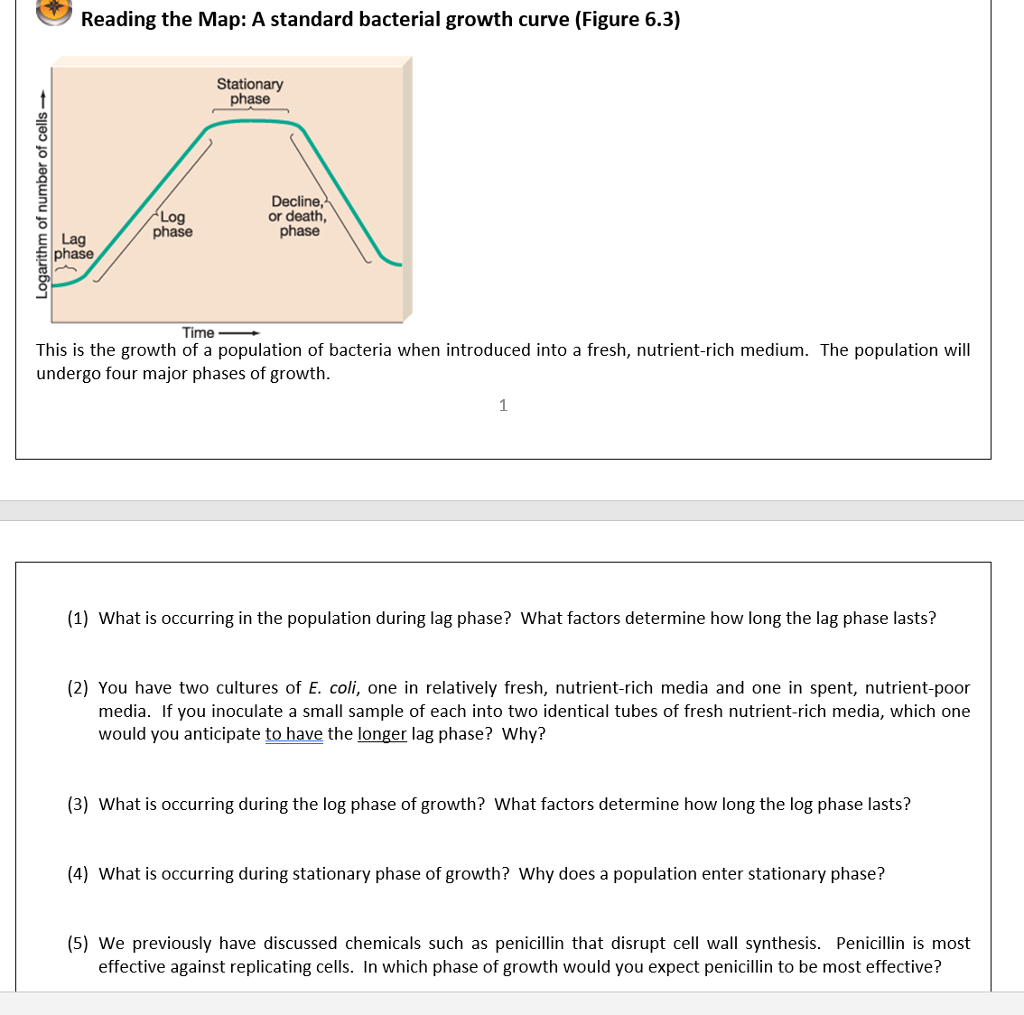 Solved Reading the Map A standard bacterial growth curve