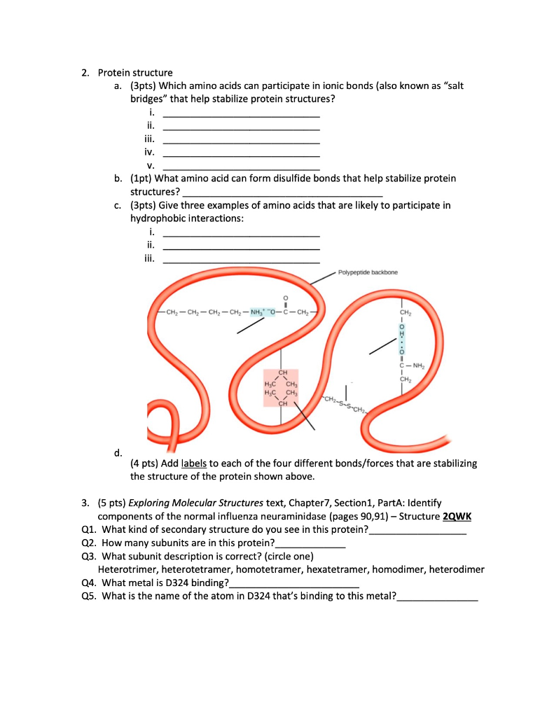 do hydrophobic amino acids form ionic bonds