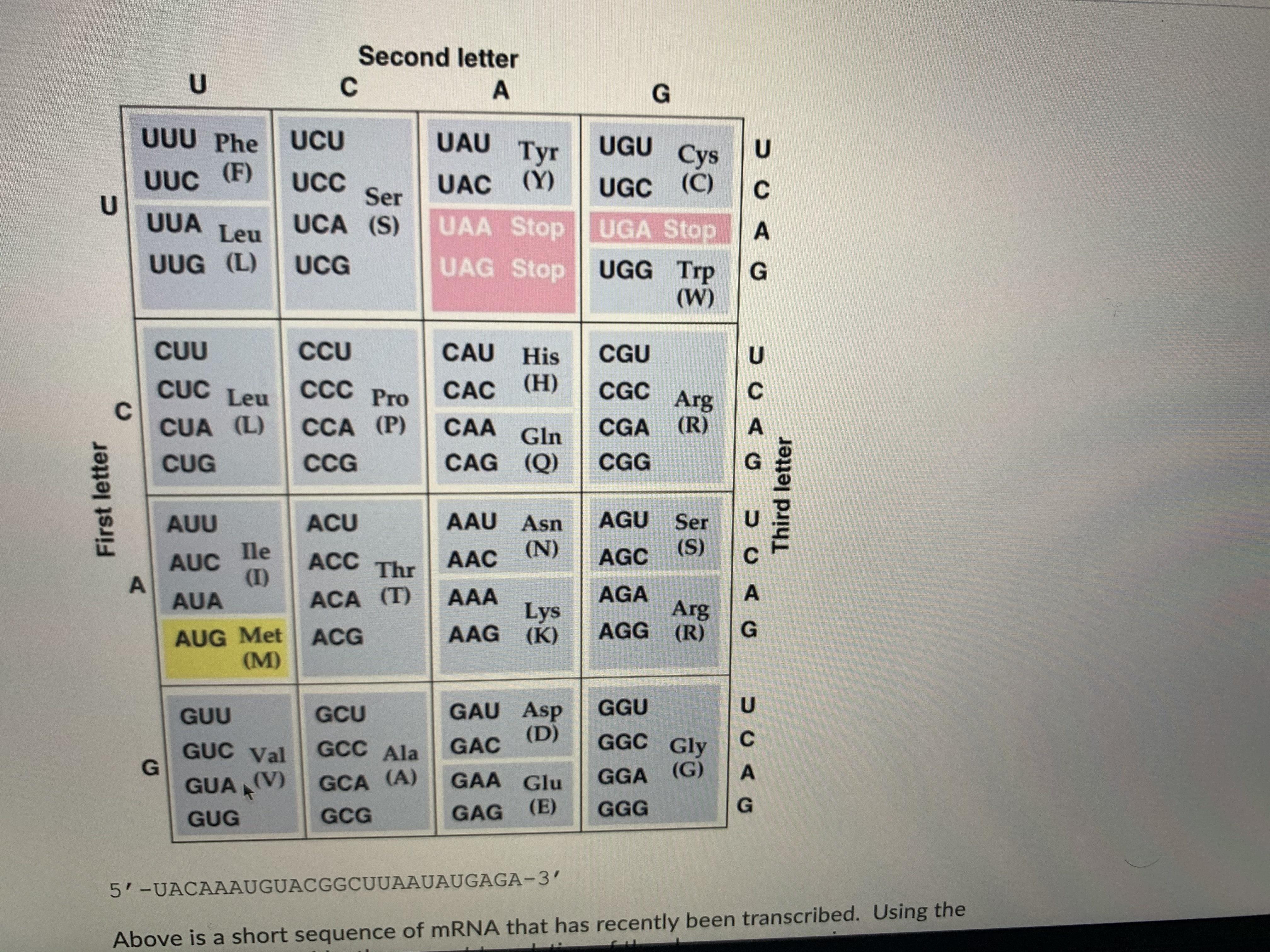Solved Above is a short sequence of mRNA that has recently | Chegg.com