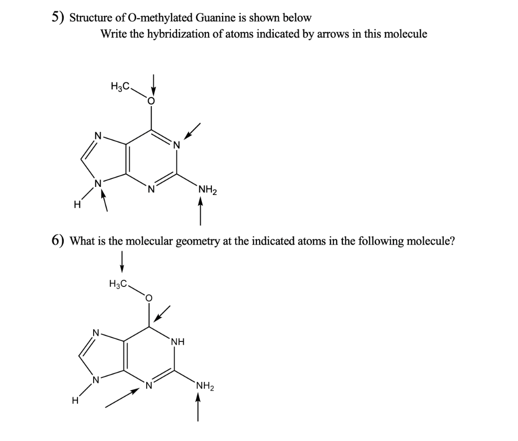 Solved 5) Structure of O-methylated Guanine is shown below | Chegg.com