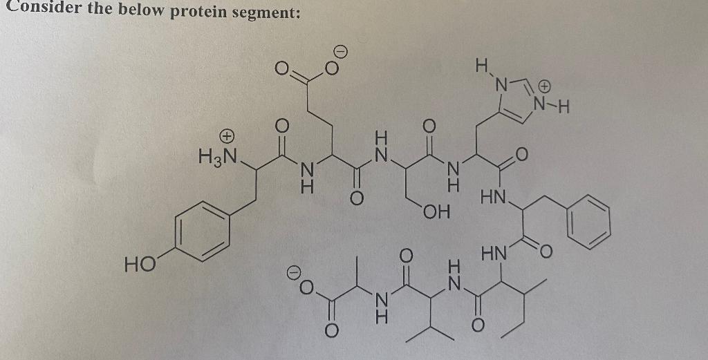 solved-a-label-the-n-terminus-and-the-c-terminus-b-how-chegg