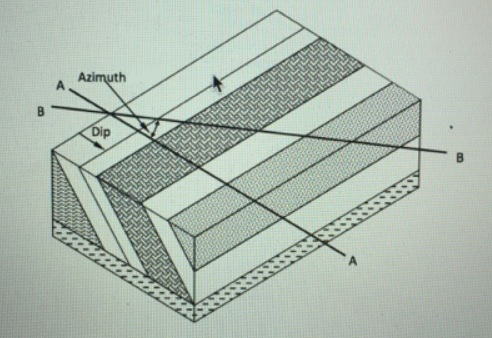 In The Sedimentary Bedding Plane Diagram Below, The | Chegg.com