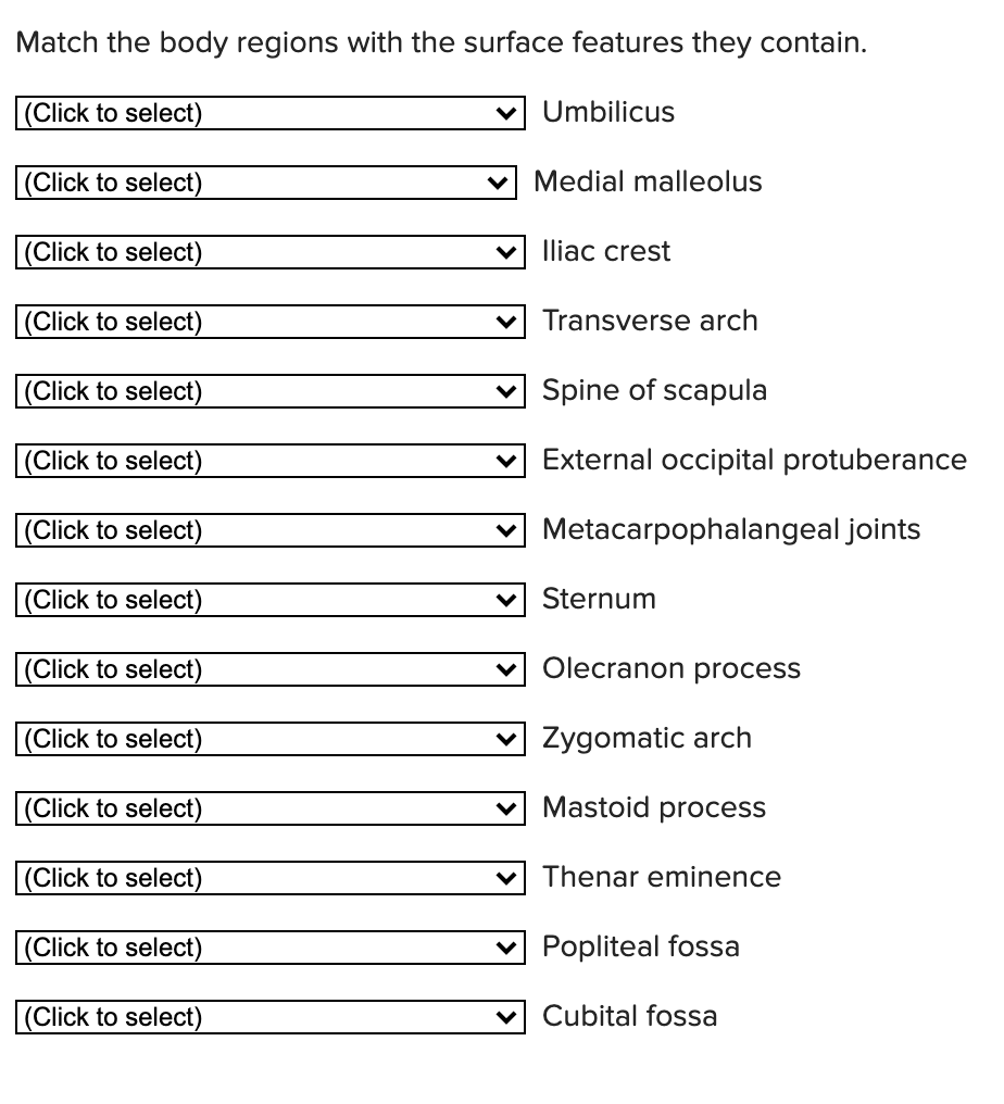 Solved Match the body regions with the surface features they | Chegg.com