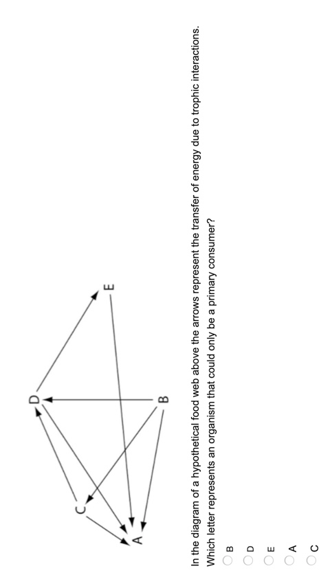Solved Use the diagram of a hypothetical food web below to | Chegg.com