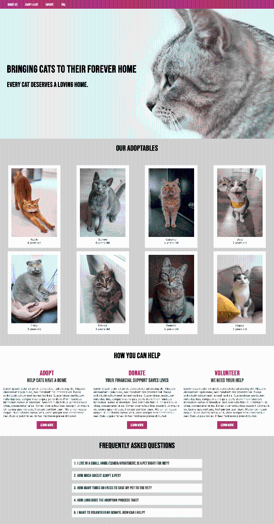 Solved HTML CSS Problem: Instructions: Your assessment | Chegg.com