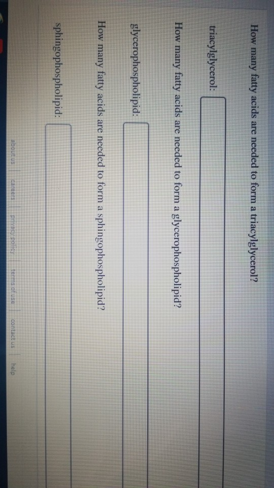 Solved How many fatty acids are needed to form a