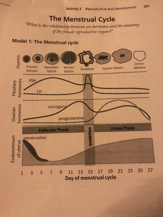 Solved 201 Activity 2 Reproductive and Development The | Chegg.com