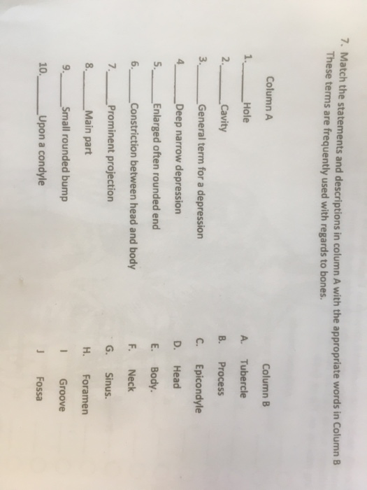 Solved 7. Match the statements and descriptions in column A | Chegg.com
