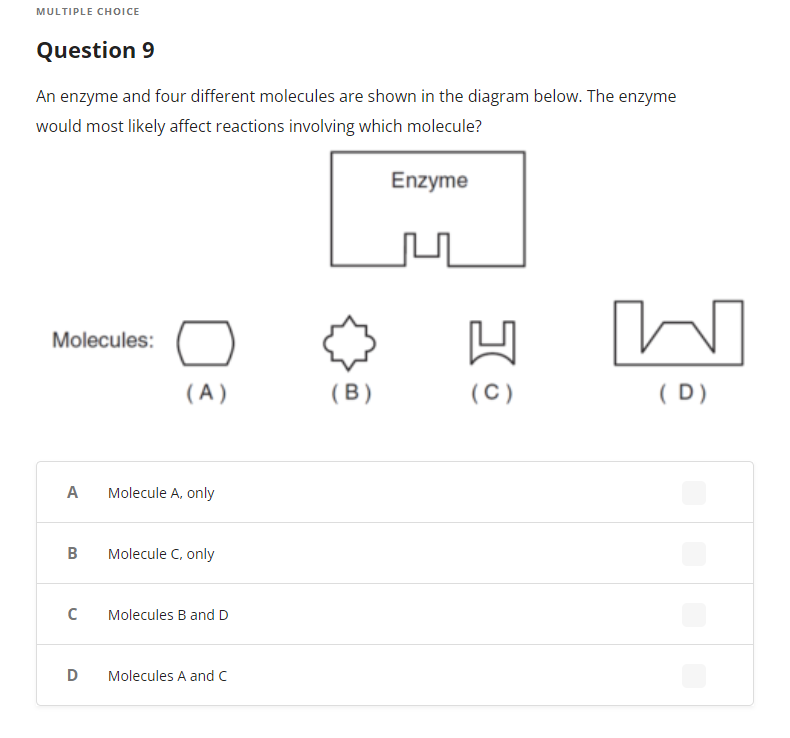 [Solved] An enzyme and four different molecules are shown