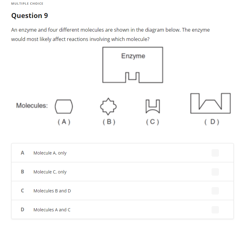 Solved An Enzyme And Four Different Molecules Are Shown In | Chegg.com