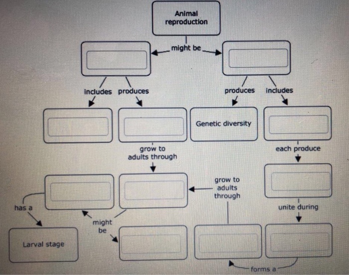 Concept Map Of Animal Reproduction Aurlie Philippa