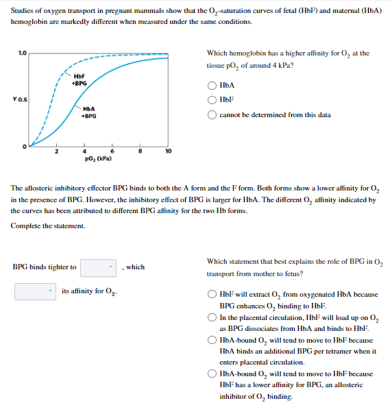 Solved Studies Of Oxygen Transport In Pregnant Mammals Show | Chegg.com