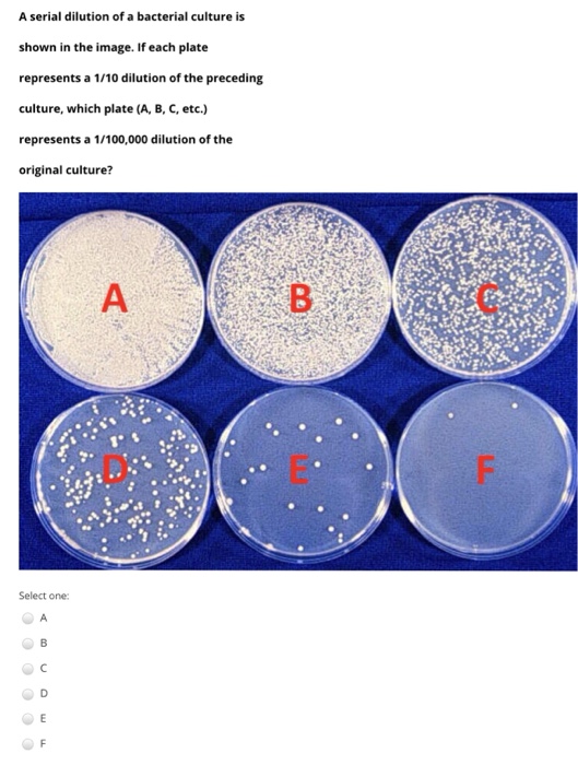 Solved A serial dilution of a bacterial culture is shown in