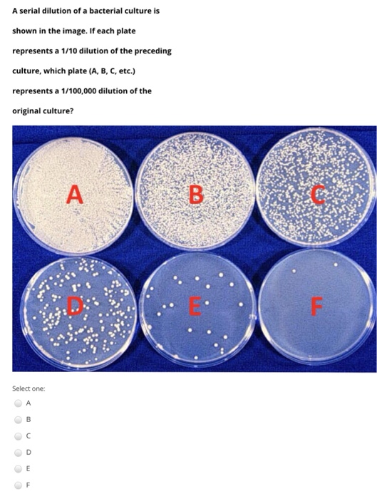 Solved A Serial Dilution Of A Bacterial Culture Is Shown In | Chegg.com