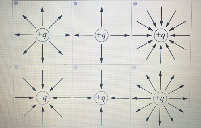 Solved The figure below shows the electric field lines from | Chegg.com