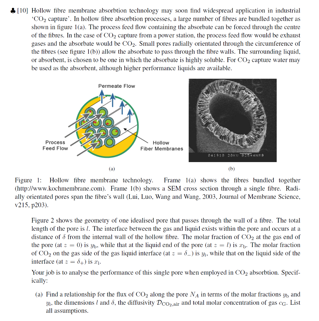 »[10] Hollow fibre membrane absorbtion technology may | Chegg.com