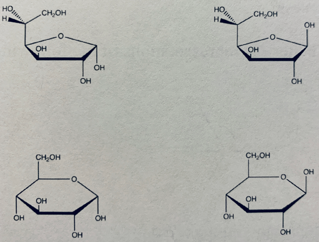 chemdoodle how to draw bridged bicycli