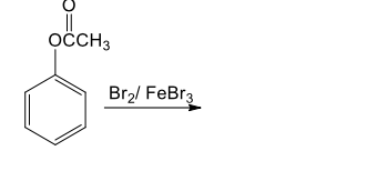 Solved оссHз Brz/ FeBr3 | Chegg.com