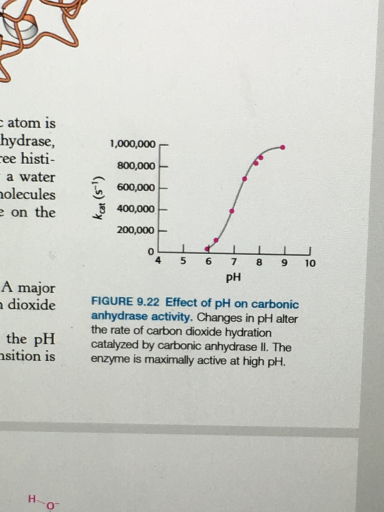 The catalytic power of an enzyme can be defined as