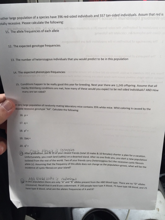 Solved Hardy-Weinburg Equilibrium Practice Problems Within a | Chegg.com