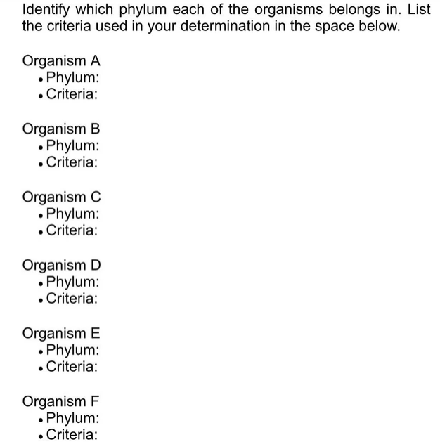 Solved Organism Images Organism A Organism B S Organism C | Chegg.com