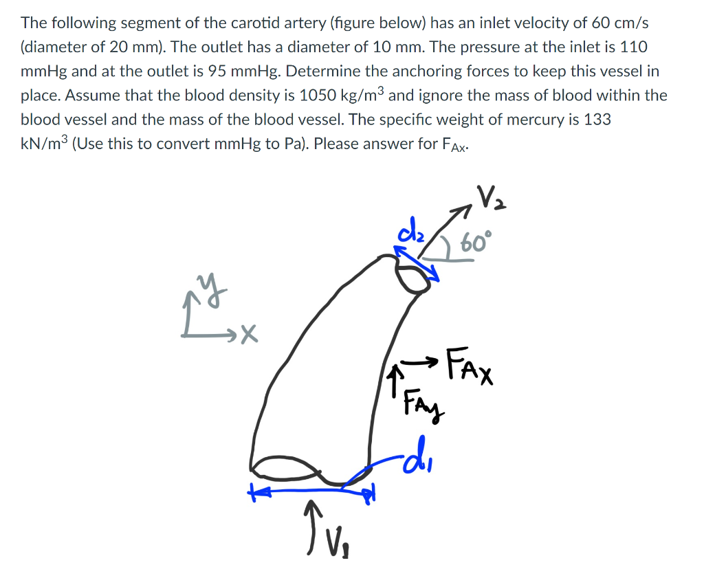 Solved The following segment of the carotid artery (figure | Chegg.com