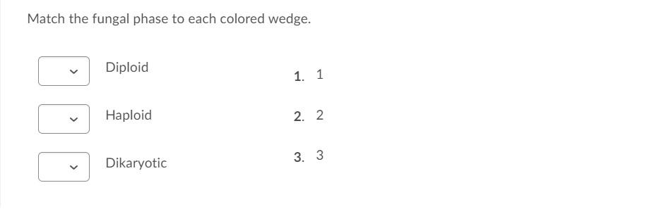 Solved .. 2 1 3 GOOD Match the fungal phase to each colored | Chegg.com