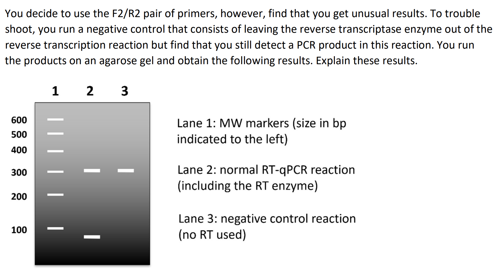 Solved You decide to use the F2/R2 pair of primers, however, | Chegg.com
