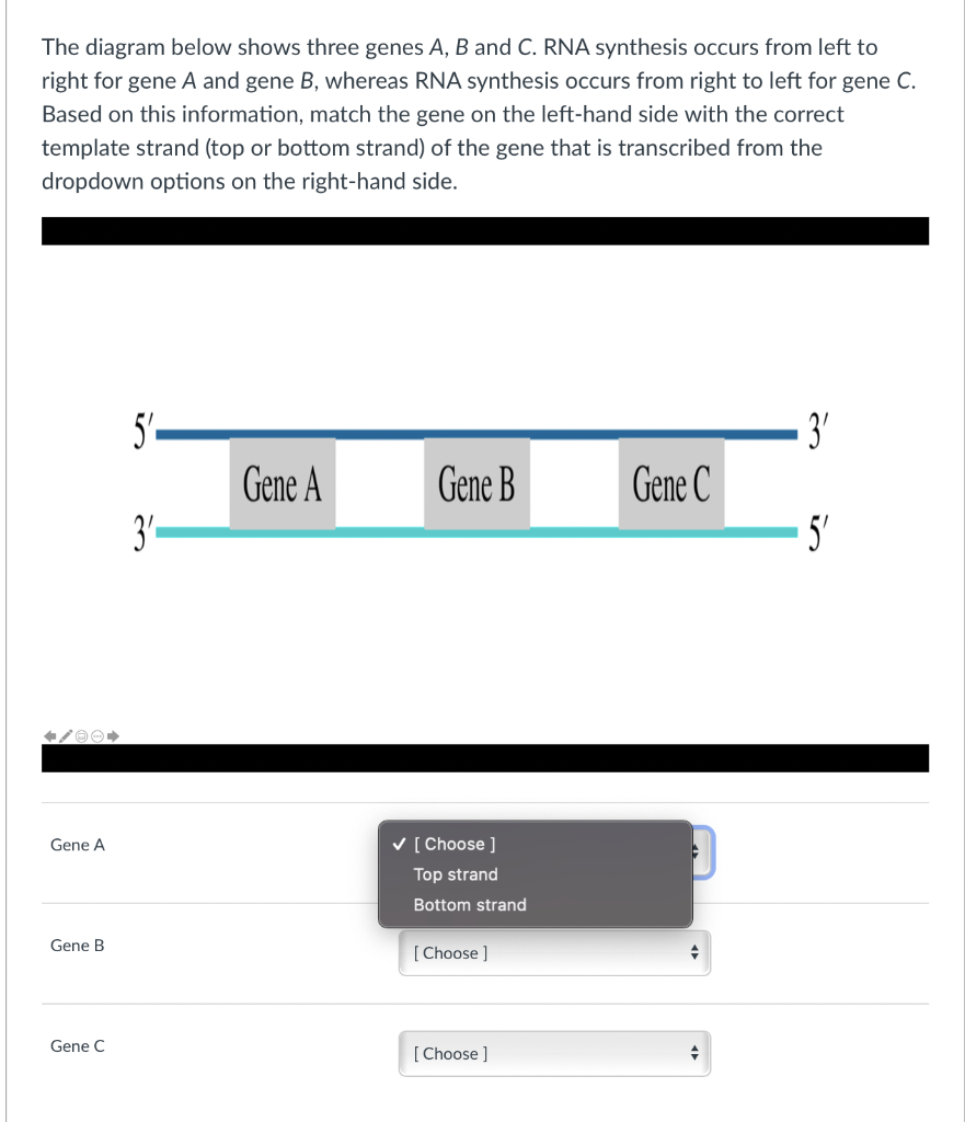 Solved The Diagram Below Shows Three Genes A,B And C. RNA | Chegg.com