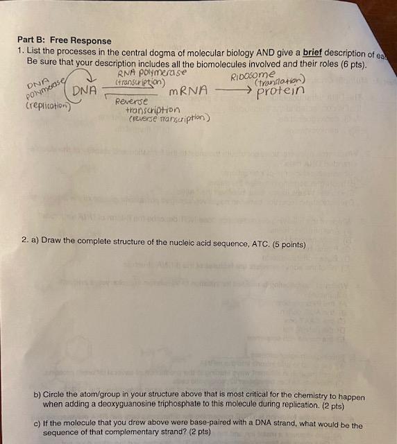 Solved Part B: Free Response 1. List the processes in the | Chegg.com