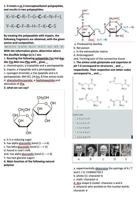 1 It Treats A Cn 2 Mercaptoethanol Polypeptide And Chegg Com