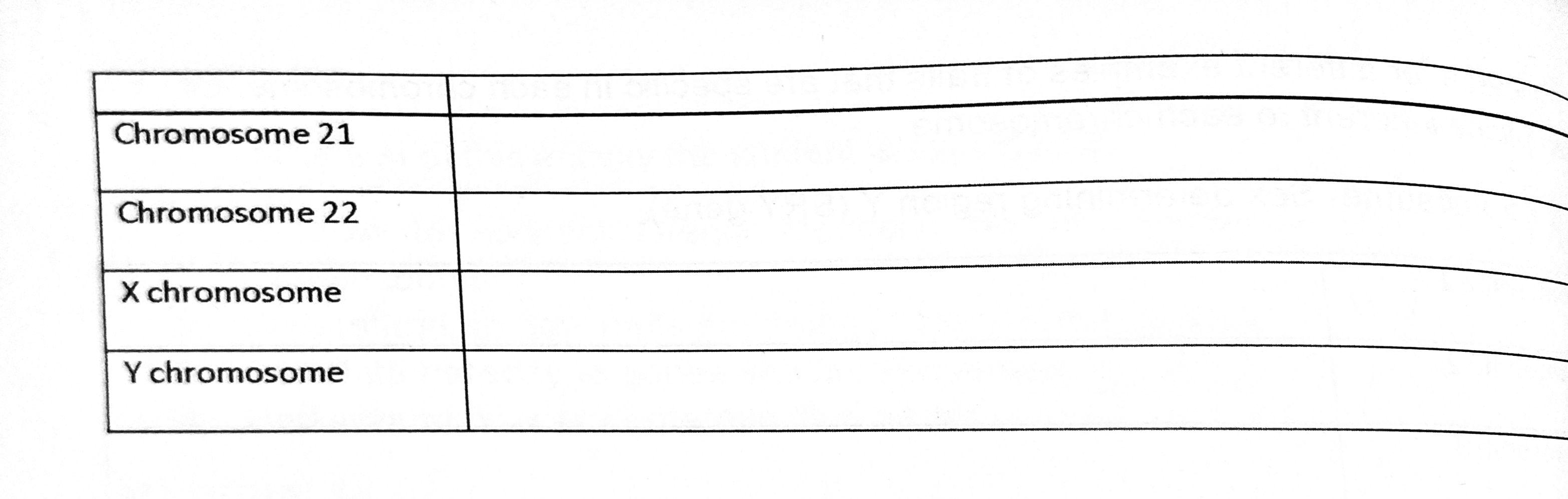 chromosome-worksheet-answer-key-db-excel