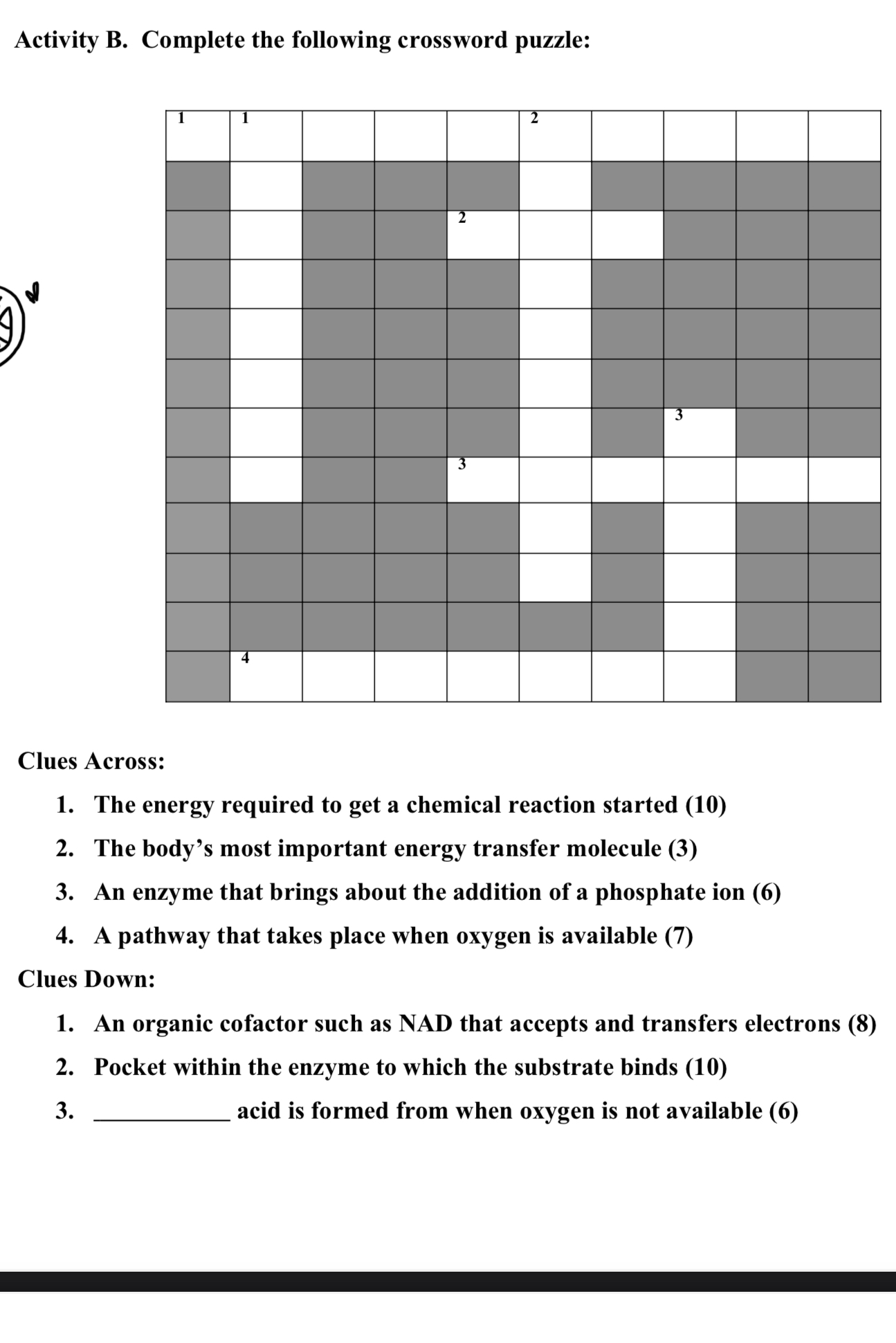 Evacuation Survival Pack: Crossword Puzzle Clues Revealed! - cumb2pk