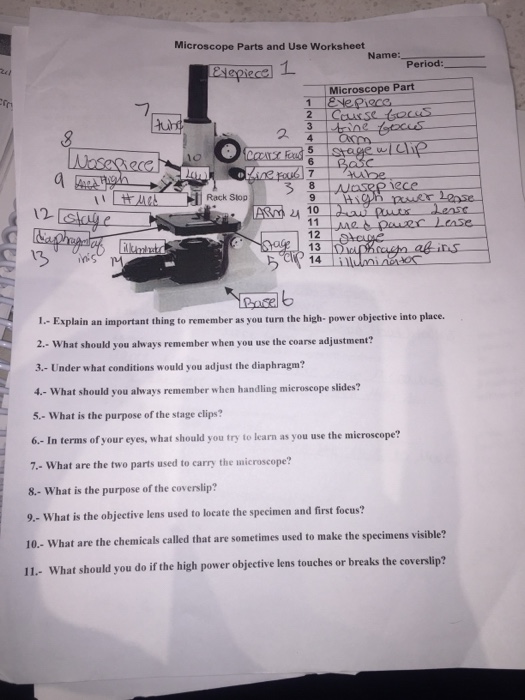 solved-microscope-parts-and-use-worksheet-microscope-part-chegg