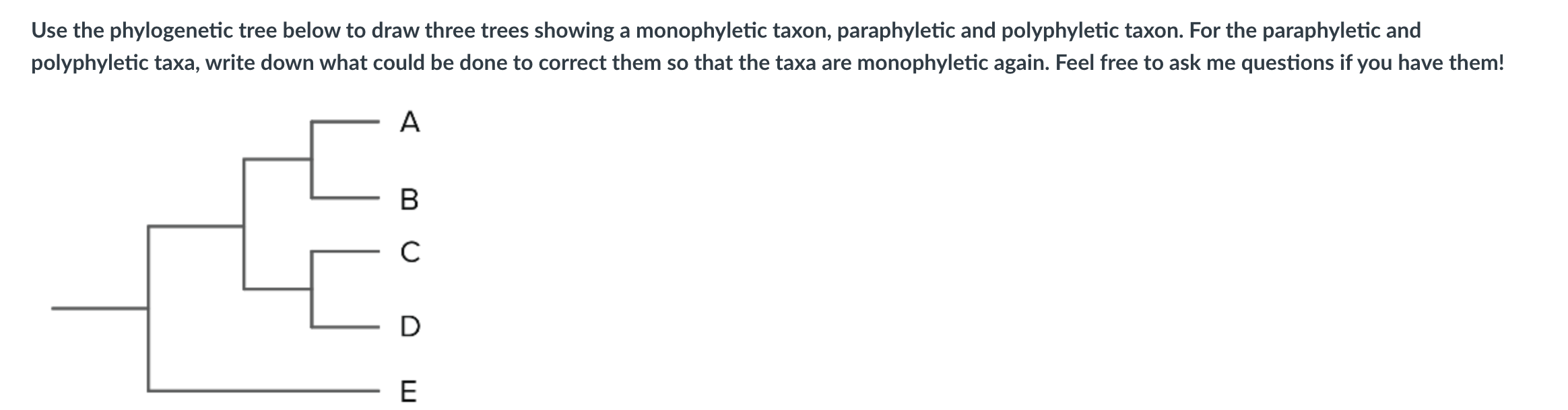 Solved Use the phylogenetic tree below to draw three trees | Chegg.com
