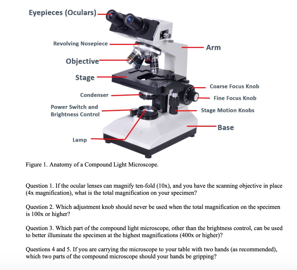 microscope revolving nosepiece