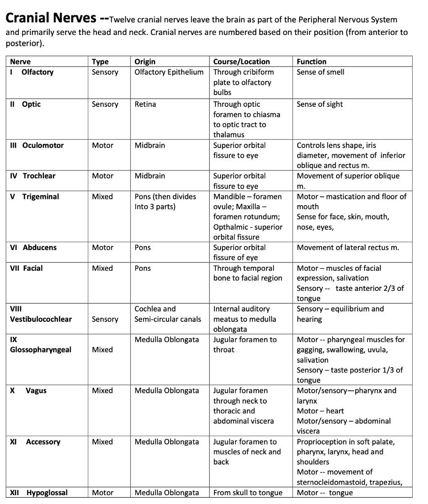 Cranial Nerves Table