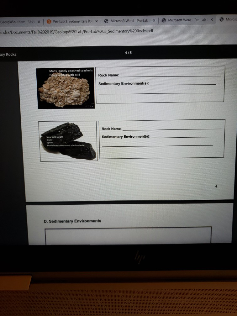 Solved GeorgiaSouthern- Uni x Pre-Lab 3 Sedimentary Ro | Chegg.com