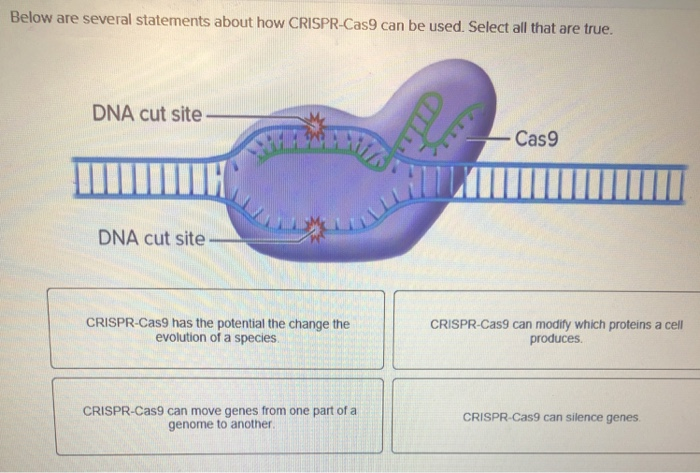 Solved Below Are Several Statements About How CRISPR-Cas9 | Chegg.com