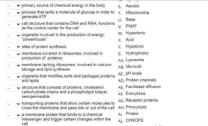 the primary source of chemical energy in the body is