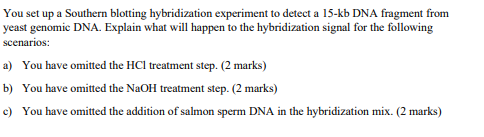 Solved You Set Up A Southern Blotting Hybridization | Chegg.com