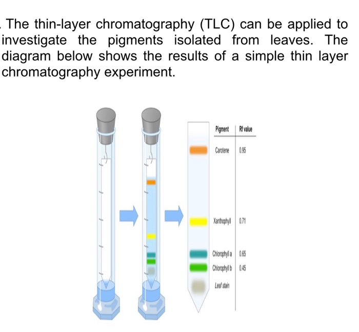 Solved The thinlayer chromatography (TLC) can be applied to