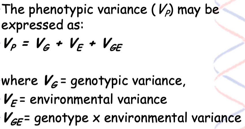 Scoville scale for the parental lines and hybrids cultivated in