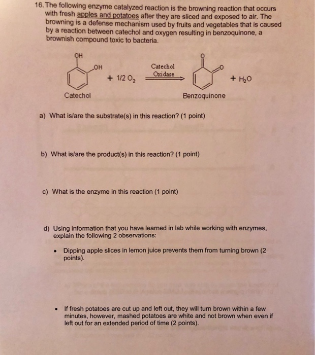 Solved 16. The following enzyme catalyzed reaction is the | Chegg.com